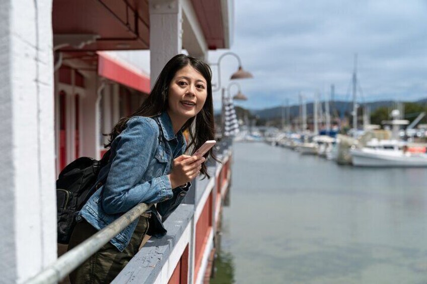 San Francisco Downtown Walking Tour with Cruise Tickets