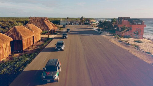 Excursión en tierra: Tour en Jeep al Parque Punta Sur y Club de Playa