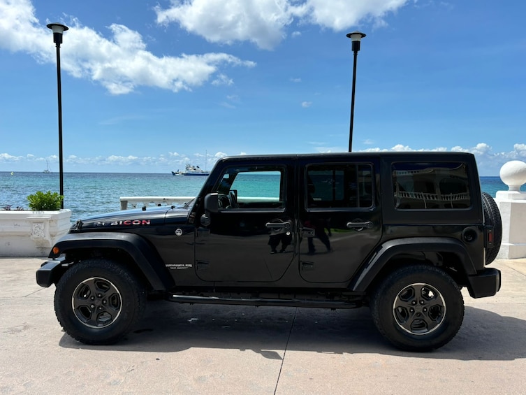 Shore Excursion: Jeep Tour to Punta Sur Park & Beach Club