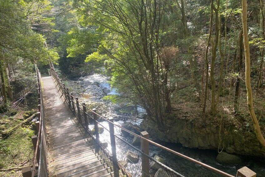 Kawazu Seven Falls Guided Tour