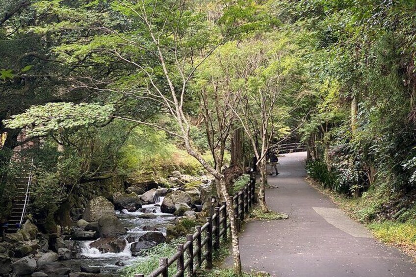 Kawazu Seven Falls Guided Tour