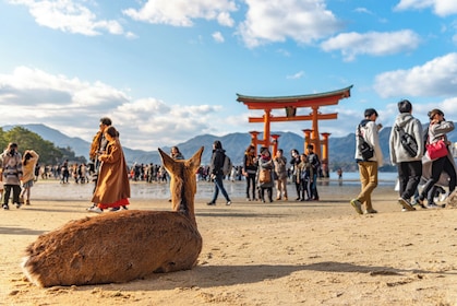 Day Trip to Hiroshima & Miyajima with Itsukushima Shrine & Ferry