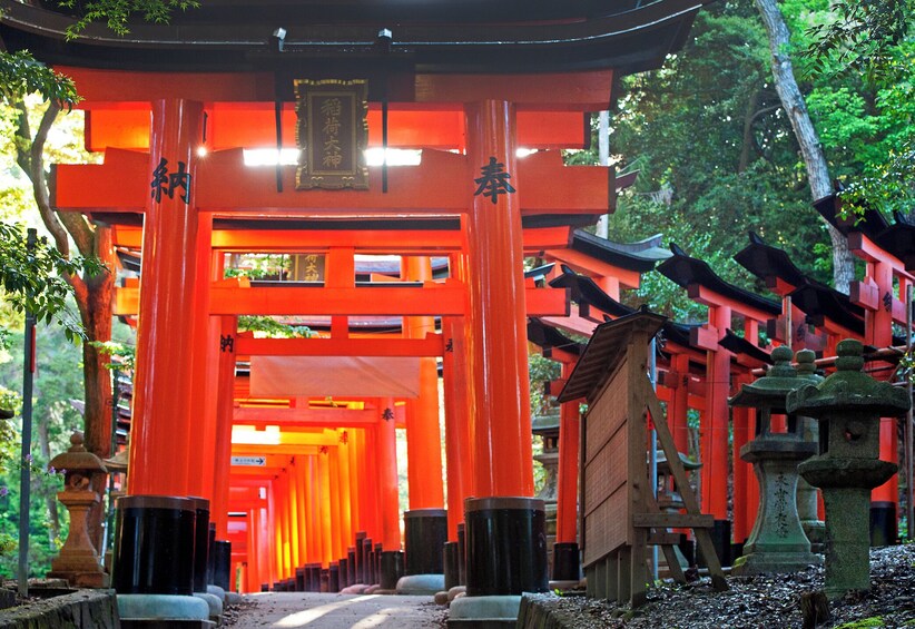 Day-Tour to Fushimi Inara, Nara and Osaka from Kyoto