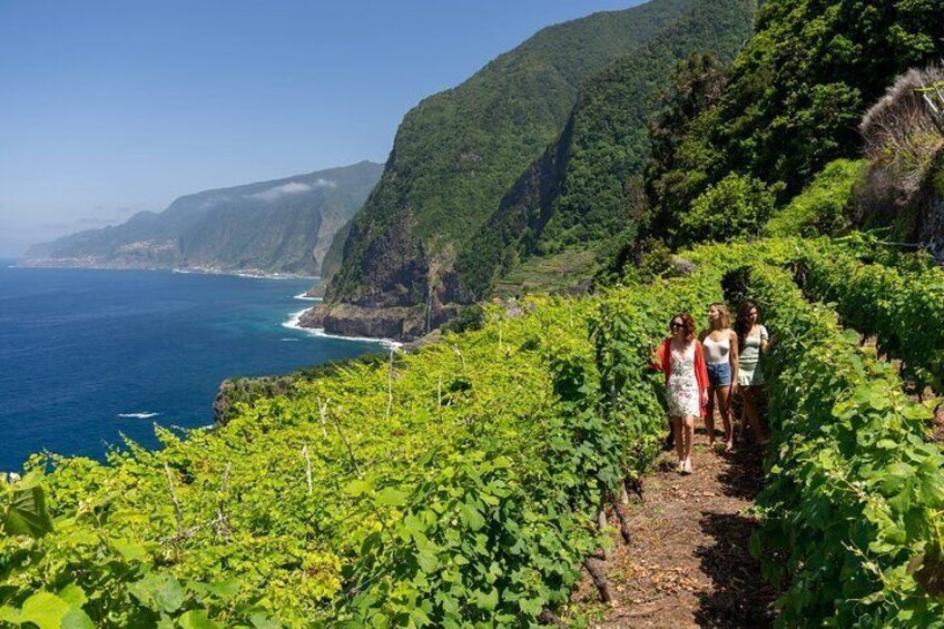 Madeira Portugal 6 hour Private Tour to and from Port