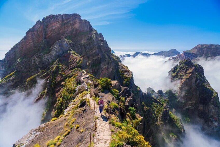 Madeira Portugal 6 hour Private Tour to and from Port