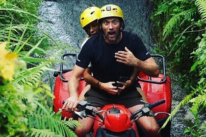Excursión privada de un día a Bali en quad y Ubud