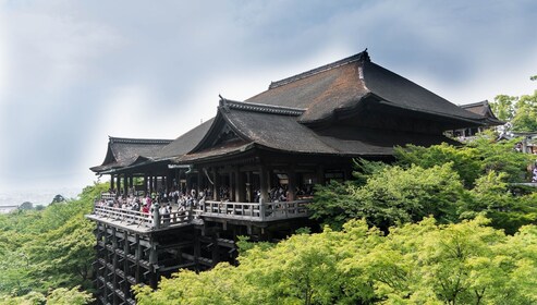 从大阪出发探索奈良、京都、清住寺和伏见稻荷