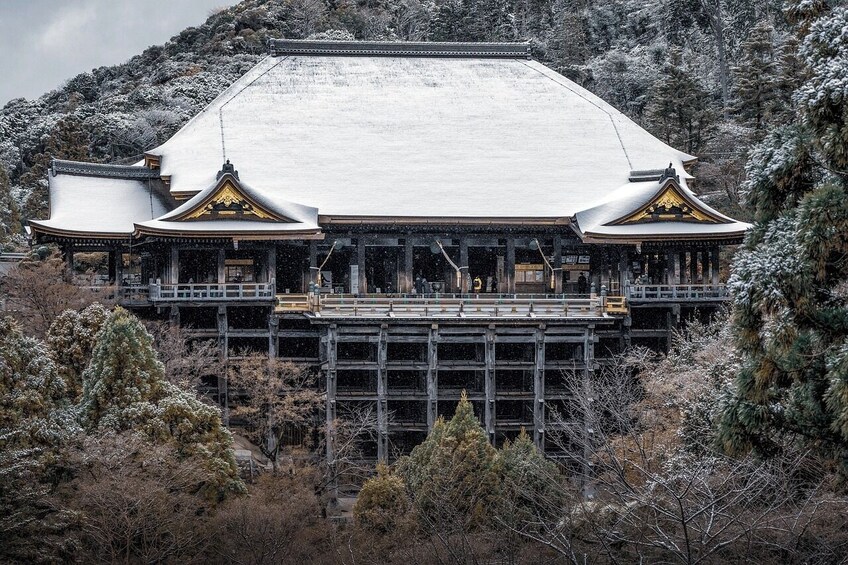 Discover Nara, Kyoto, Kiyozumi-dera & Fushimi Inari from Osaka