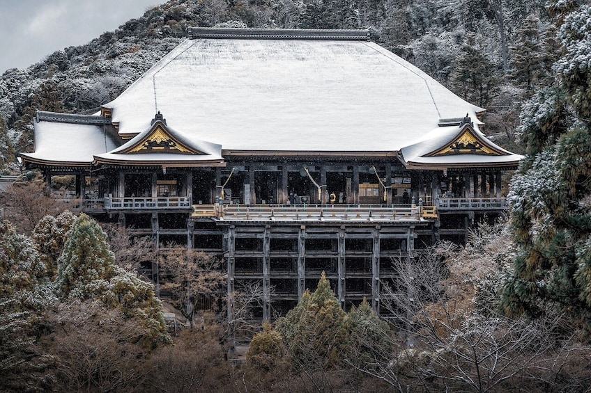 Discover Nara, Kyoto, Kiyozumi-dera & Fushimi Inari from Osaka