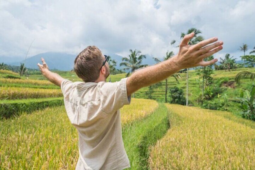 Northern Side of Bali Private Day Tour