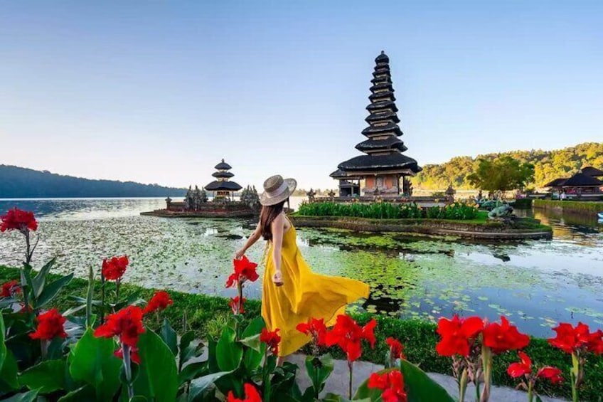 Northern Side of Bali Private Day Tour