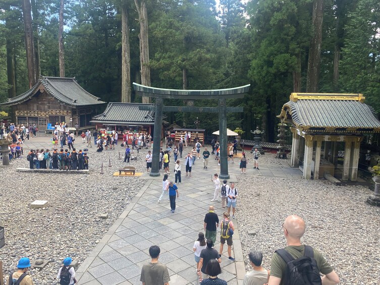 From Tokyo: Nikko, the Beauty of Kegon Waterfall & Chuzenji Lake