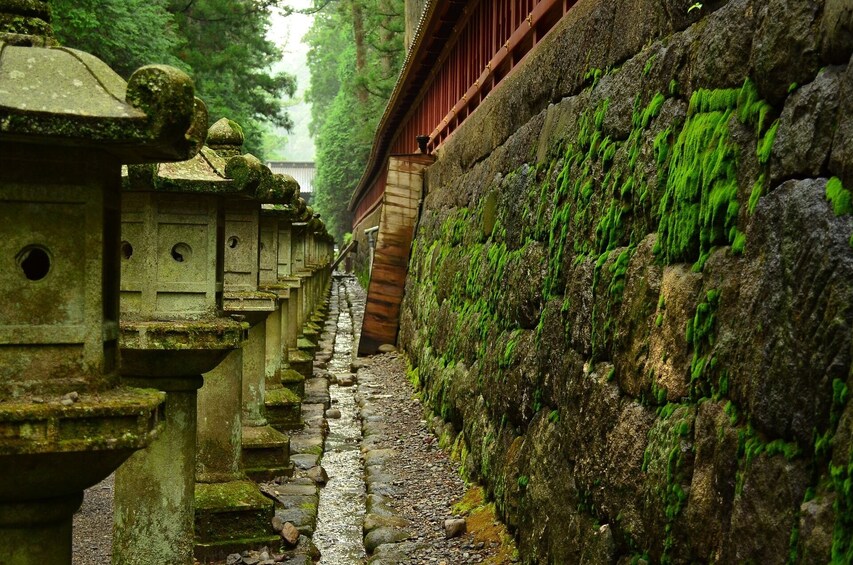 Nature and History in Nikko: A Day Trip from Tokyo