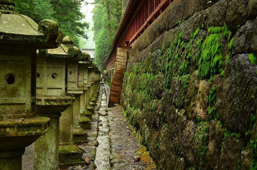 Nature and History in Nikko: A Day Trip from Tokyo