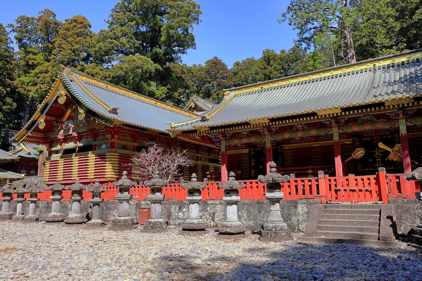 From Tokyo: Nikko, the Beauty of Kegon Waterfall & Chuzenji Lake