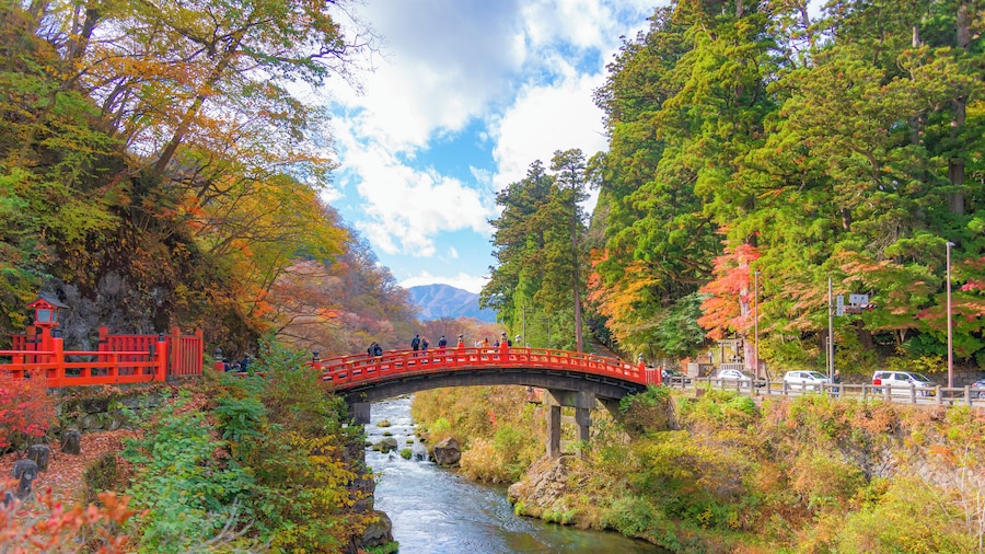From Tokyo: Nikko, the Beauty of Kegon Waterfall & Chuzenji Lake