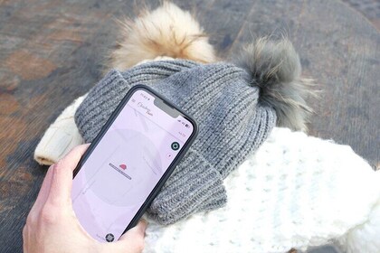 图卢兹圣诞市场不寻常的寻宝活动