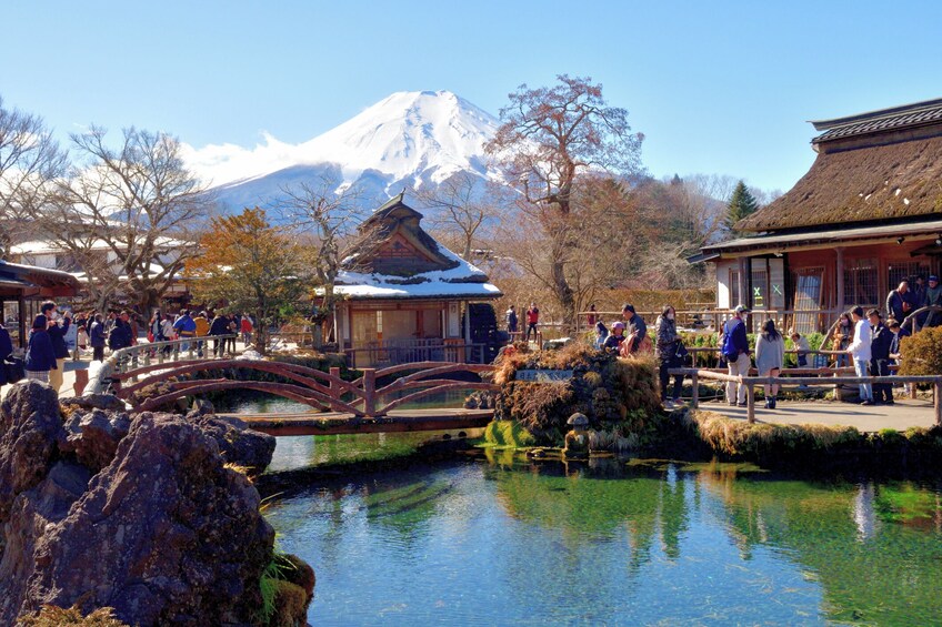 From Tokyo: Mount Fuji, Kamakura, Lake Ashi & Oshino Hakkai