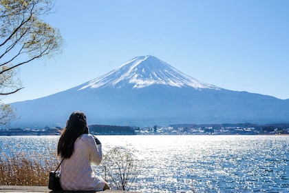 Von Tokio aus: Berg Fuji, Kamakura, Ashi-See und Oshino Hakkai