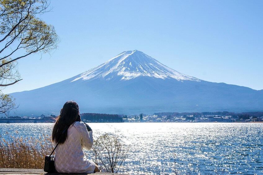 From Tokyo: Mount Fuji, Kamakura, Lake Ashi & Oshino Hakkai