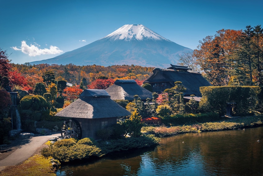 From Tokyo: Mount Fuji, Kamakura, Lake Ashi & Oshino Hakkai