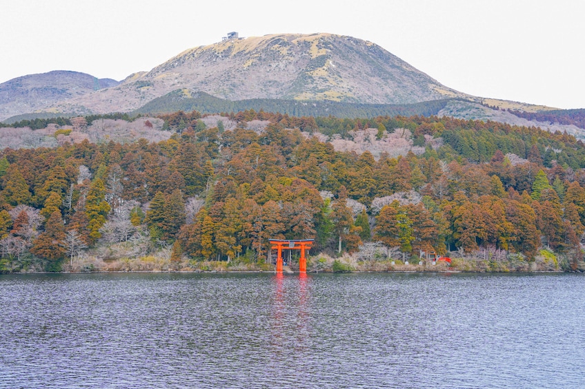 Mount Fuji, Kamakura, Lake Ashi & Giant Buddha from Tokyo