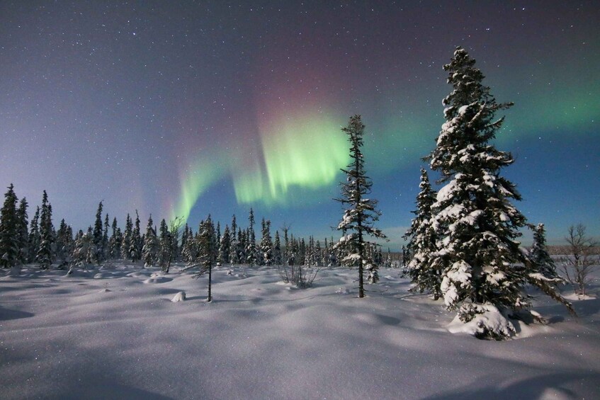 Picture 1 for Activity Kiruna: Northern Lights Minivan Chase with Warm Drink