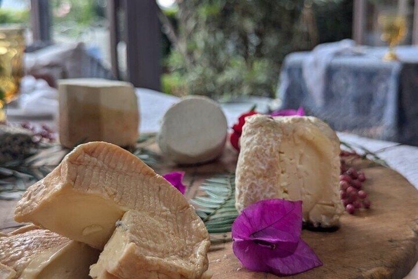 Artisan Cheeses from Mexico City