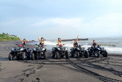 ATV on the Beach Adventure with Lunch