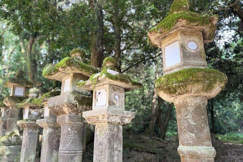 Private Guided Historical Sites Walking Tour in Nara