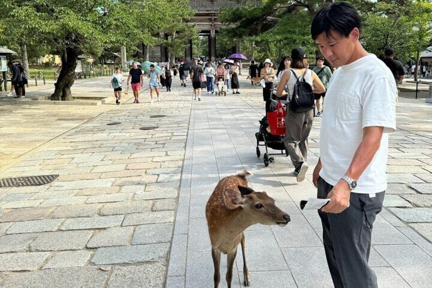 Private Guided Historical Sites Walking Tour in Nara