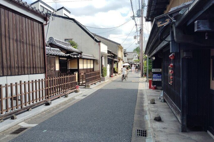 Private Guided Historical Sites Walking Tour in Nara