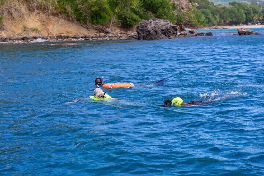 Snorkeling at Pigeon Island