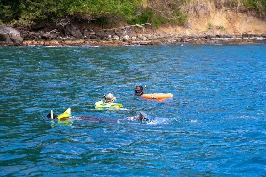 Snorkeling at Pigeon Island