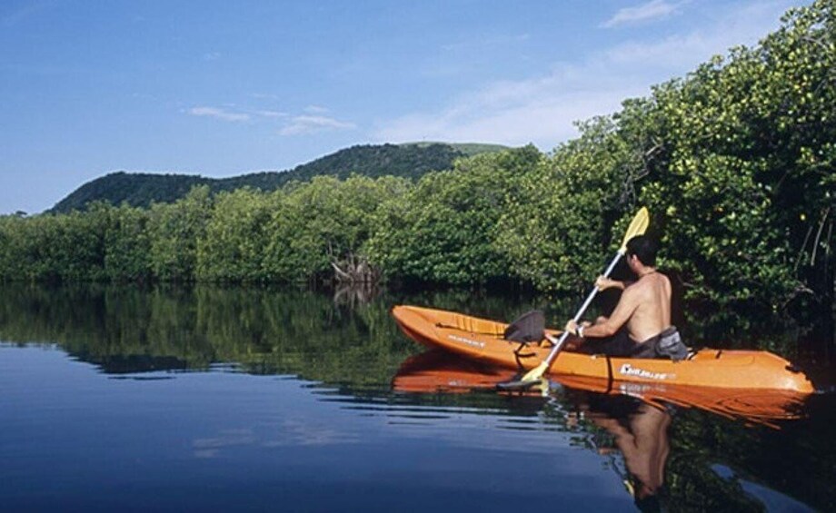 Picture 2 for Activity Ixtapa-Zihuatanejo: Barra de Potosi Scenic Lagoon Tour