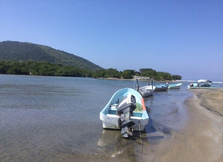 Picture 1 for Activity Ixtapa-Zihuatanejo: Barra de Potosi Scenic Lagoon Tour