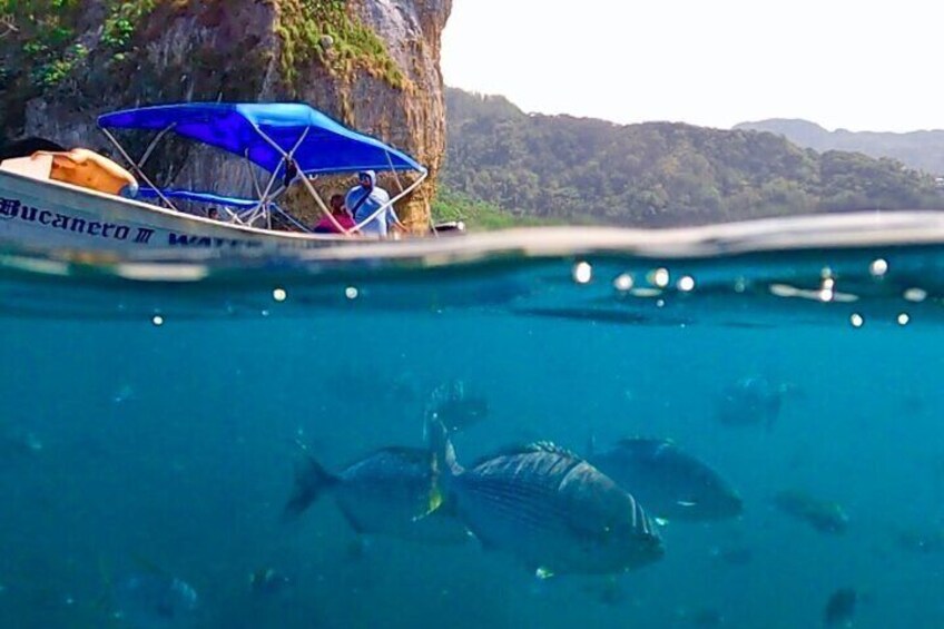 Snorkeling at Los Arcos 5 islands Hidden Beach and Cliff Jumping