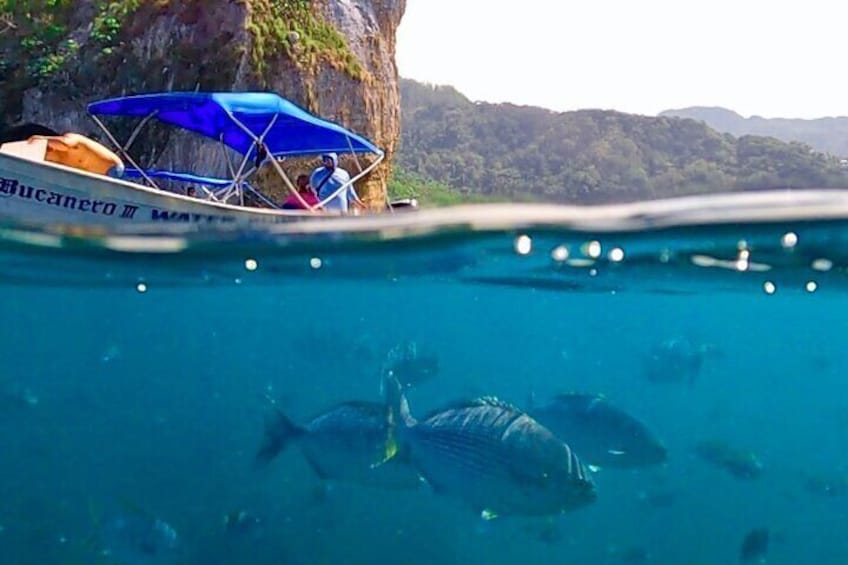 Snorkeling at Los Arcos 5 islands Hidden Beach and Cliff Jumping