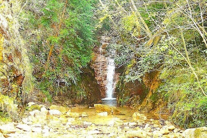 Private Historic Road Hike in the Healing Forest of Arima