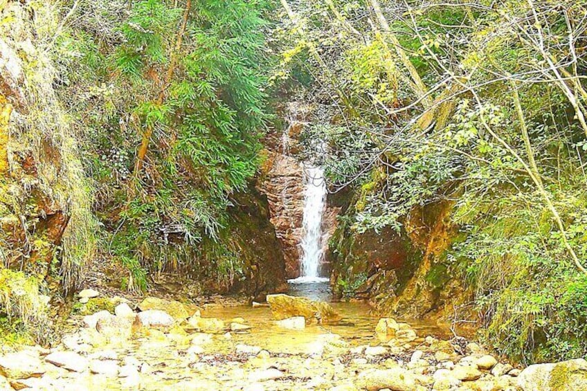 Taiko Waterfall. The forests near Arima are well-known for their many waterfalls.