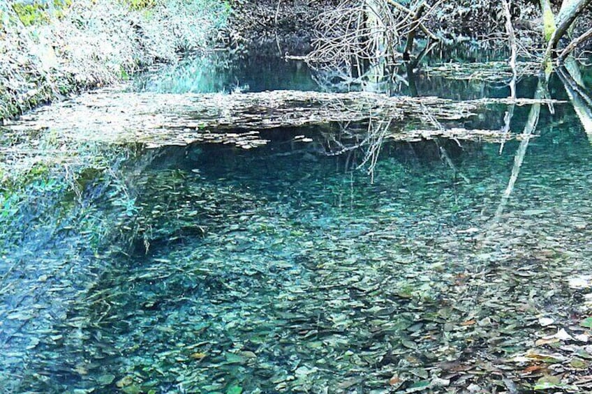 The stream waters are clear, and the ponds appear blue.