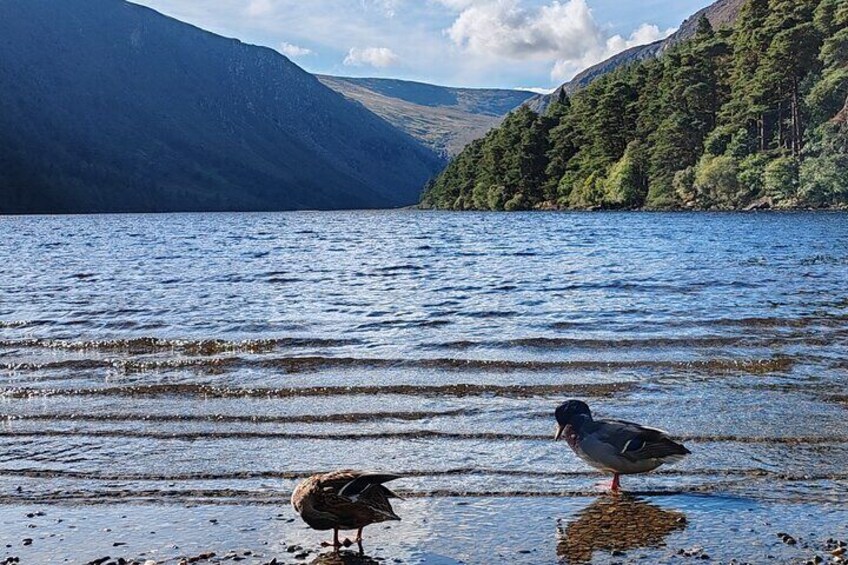 Glendalough Upper Lake