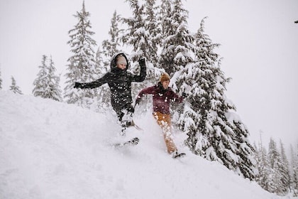 Guided Snowshoe Tour in Bend, Oregon