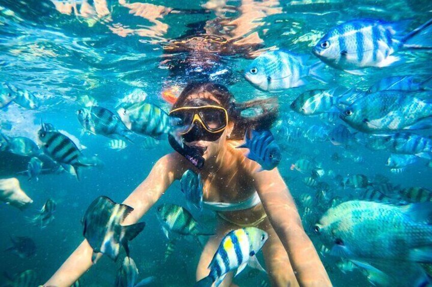 Ko Samet 5 or 6 Islands Snorkeling Tour with Lunch 