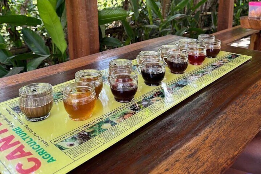 Coffe platantion testing