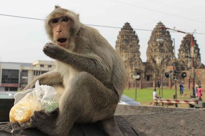 Bangkok : Location de voiture privée à Lopburi la ville du singe