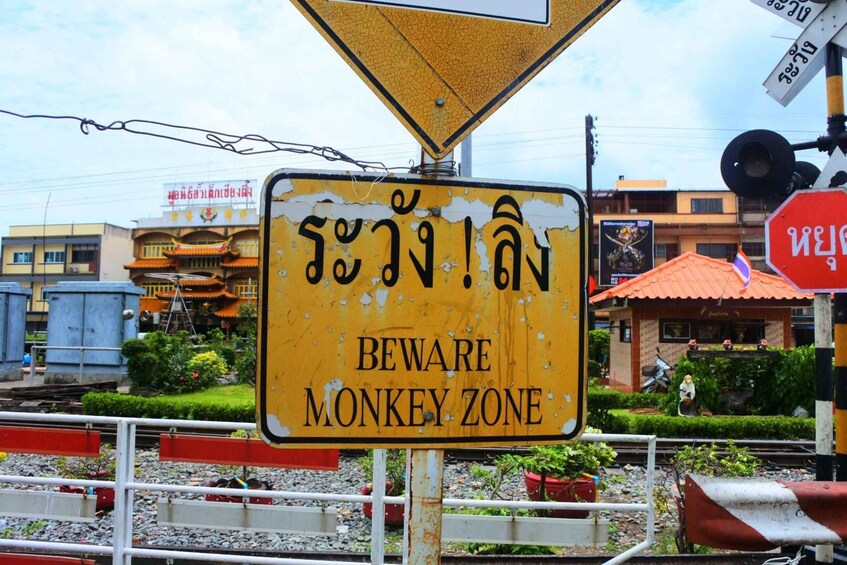 Picture 8 for Activity Bangkok: Private Car Hire to Lopburi the Monkey City