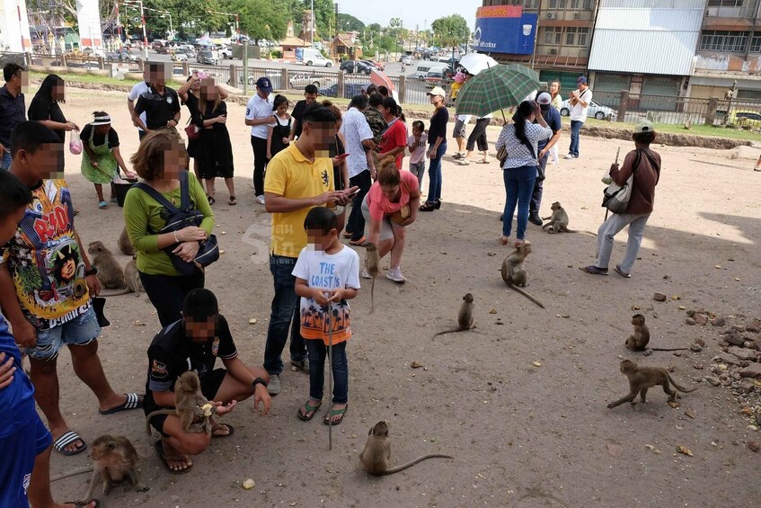 Picture 9 for Activity Bangkok: Private Car Hire to Lopburi the Monkey City