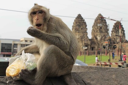 Bangkok Sewa Mobil Pribadi ke Lopburi Kota Monyet