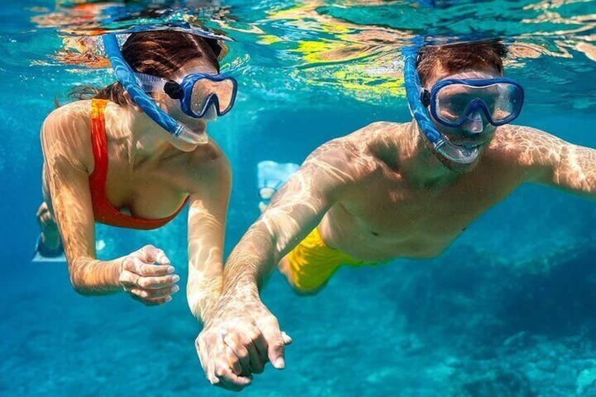 Cayman 3 in 1 Adventure Reef Snorkeling, Starfish and Stingrays